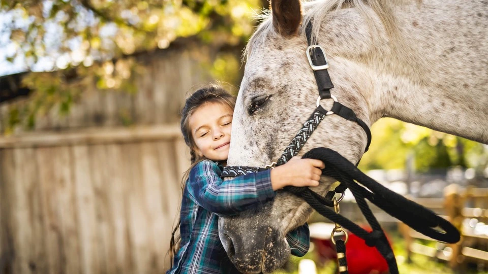Boy hugging a horse